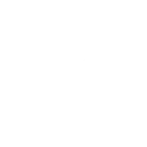 LinkedIn Premium logo